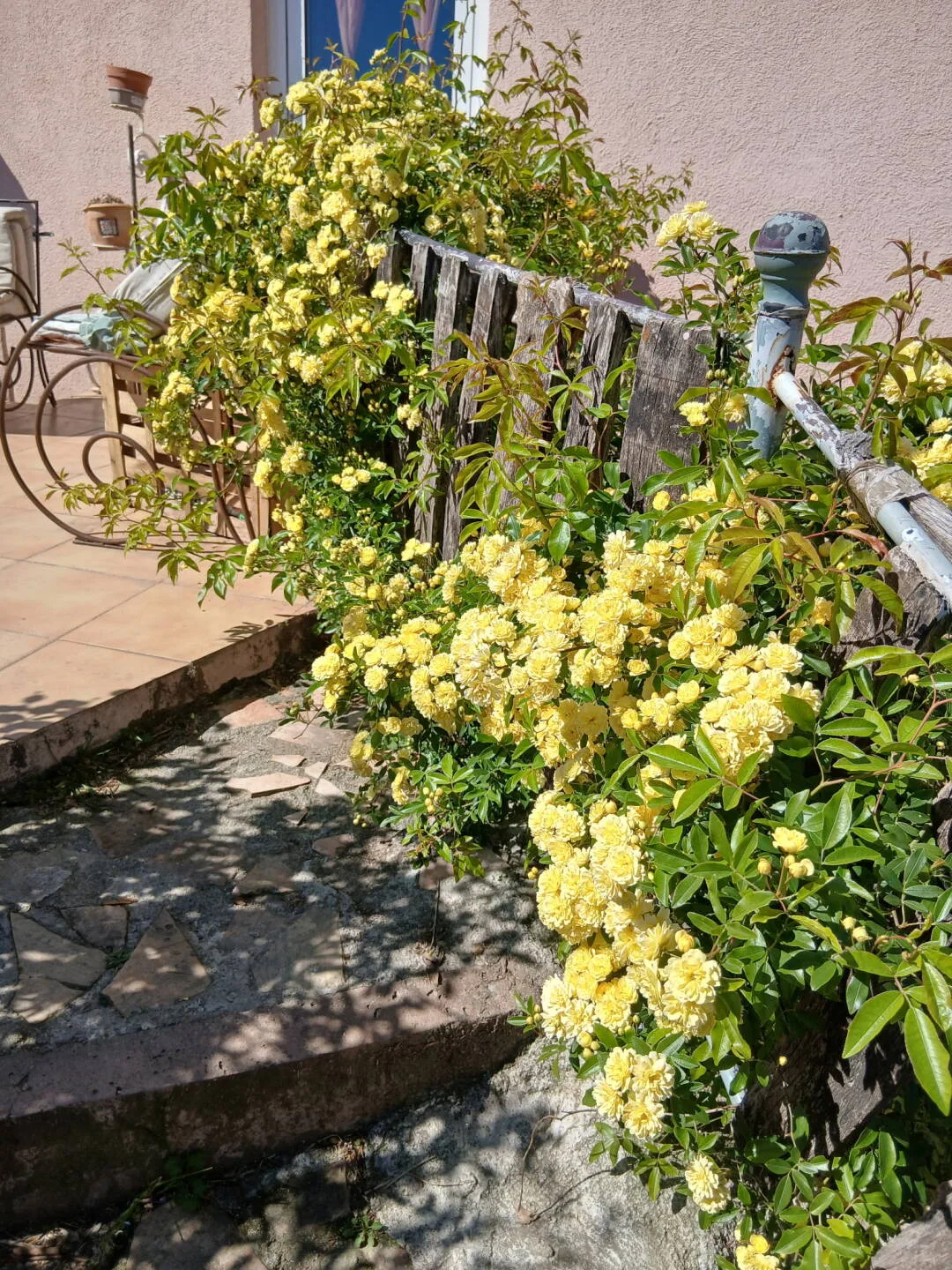 Maison &agrave; vendre &agrave; Sernhac &ndash; photo 11